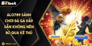 Alo789 Sảnh Chơi Đá Gà Hấp Dẫn Không Nên Bỏ Qua Kê Thủ