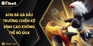 AOG Đá Gà Đấu Trường Chiến Kê Đỉnh Cao Không Thể Bỏ Qua