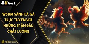 Ws168 Sảnh Đá Gà Trực Tuyến Với Những Trận Đấu Chất Lượng